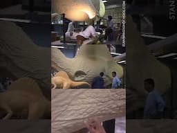 Fine detailing the computer-milled foam Spinosaur for Jurassic Park 3 at Stan Winston Studio.
