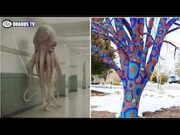 Top 10 Signs Of Parallel Universes Throughout History