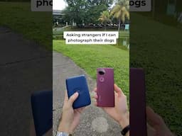 vivo V50: Photographing stranger's pets at the park - INSANE Results!