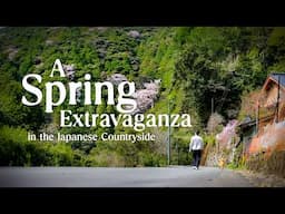A Spring Extravaganza in Japan's Countryside: Birdwatching, Sakura Mochi & Wild Mountain Veg!