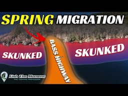 Stay Ahead of Spring Bass With This Simple Approach!