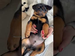 This guy knows how to enjoy
