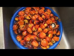 HOW TO MAKE EYOP ABAK BEFORE USING FOR SOUP .