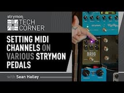 Strymon Tech Corner: Setting MIDI Channels On Various Pedals