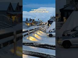 Cats are BANNED ❌🐈‍⬛ on this arctic island | WILD FACTS about #svalbard