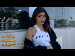 a Los Angeles vlog