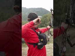 Victory HLR arrow Vs STEEL archery target!