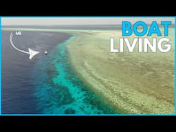 We dove Tubbataha National Park (PHILIPPINES)