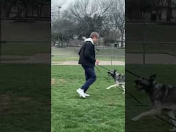Using TREATS vs. PLAY as a reward