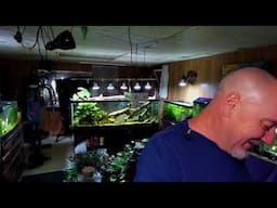 Friday Night Fish N Hits