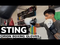 Bag Work | Sting Orion Boxing Gloves
