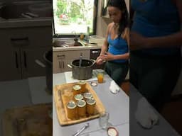 Mango jam #cumbia #mango