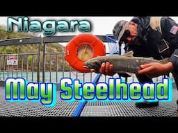 Niagara Fishing Platform Win Some Lose Some - May fishing