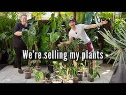 I have too many plants ...