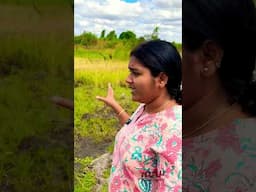 ആഫ്രിക്കയിൽ നെൽപ്പാടങ്ങൾ ഉണ്ടോ #shortsfeed #shorts