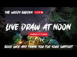 The Weedy Garden Makeover LIVE DRAW!
