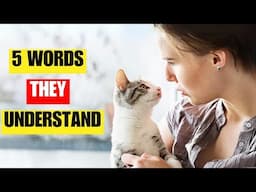 5 Words Your Cat Actually Understands (But Pretends Not To)
