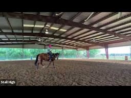 The drill to lift your barrel horse's shoulder is shortening it's stride & collapsing lungs!