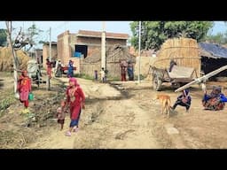 How Simple Living Inspires Happiness in India | Secrets of the Simple Life: Exploring Rural India