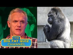 18 Minutes Of Mildly Inappropriate Jokes & Outbursts | Big Fat Quiz