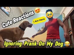 Ignoring My Dog Prank *Gone Funny* 😂 | Ignoring Prank On My Dog | Dhruv Bhati