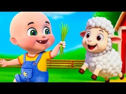 Baa Baa White Sheep Want To Eat Grass | Animal Farm Song and More Nursery Rhymes For Kids