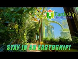 Stay in an Earthship! 🌿🏡 | Unique Off-Grid Nightly Rentals