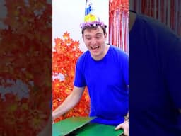 Unsettled Birthday Party