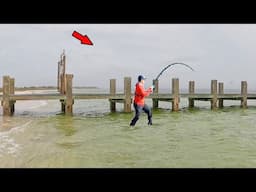 Found the Most Random Spot and Caught Dinner!