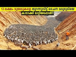 12 ലക്ഷം മുയലുകളെ മരുഭൂമിയിൽ തുറന്നുവിട്ടപ്പോൾ!😱The Desert Project Of China Explained - Storify