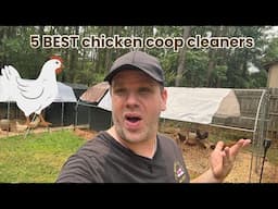 How We Keep Our Chicken Coop Super Clean in a Small Space!