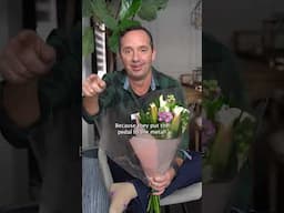 PLANT JOKE OF THE DAY: Why Flowers Drive Fast? 🌸