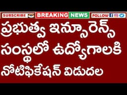 ప్రభుత్వ ఇన్సూరెన్స్ సంస్థలో ఉద్యోగాలకి నోటిఫికేషన్ విడుదల | NICL AO GENARLIST JOBS 2025 | DEGREE