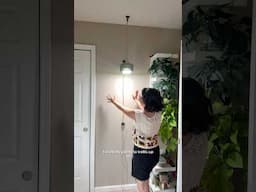 No corner will be left bare in a planty house!  #growlights #plantcollections