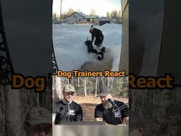Off Leash Dog Attacks Lady Walking Her Dog #dogs