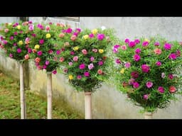 CREATE A FLOWER PARADISE IN ANY SPACE WITH PLASTIC BOTTLES!