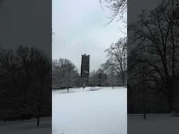 A winter wonderland ❄️☃️ #winter #college #life