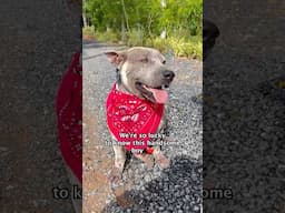 We love you Tom Cruise 🐶 #rescueefforts #streetdogs