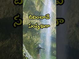 దీవించావే సంవృద్ధిగా