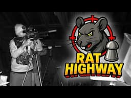 Invasive Rat Hunt using PCP AIRGUNS!