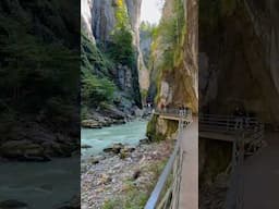 Thrilling Aareschlucht #switzerland #shorts #aareschlucht