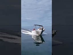 CALL BARRY BECAUSE WE ARE LIVING!  #fishing #explorepage #travel  #wildlife #familytravel