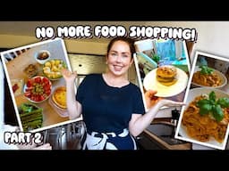 NO MORE FOOD SHOPPING PART 2 | Family Dinners This Week From The Freezer, Easy Budget Family Recipes