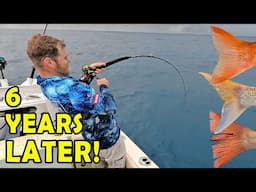 Return to Red Emperor Heaven! Long-Range Reef Adventure Hunting for Australia's Premier Fish!
