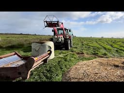 Feeding 20 Bales Of Silage. Still On Holiday
