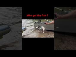 The best fisherman #offroadoverland #outdooradventures