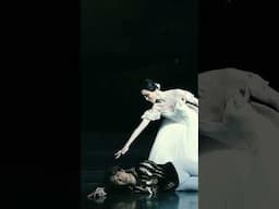新国立劇場バレエ団『ジゼル』より｜National Ballet of Japan "Giselle" #shorts