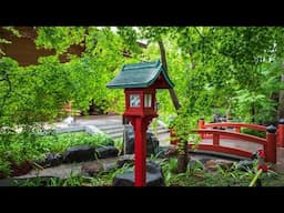 Silent POV Tokyo Photowalk - Beautiful Kuhombutsu and Joshin-ji Temple - 4K 九品仏フォトウォーク Relaxing ASMR