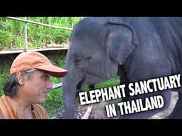 We Slept With Elephants In The Thailand Jungle | EP 387