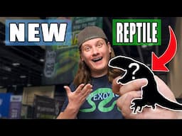 I got my Dream REPTILE!